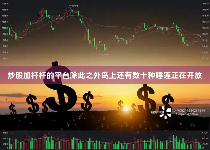 炒股加杆杆的平台除此之外岛上还有数十种睡莲正在开放